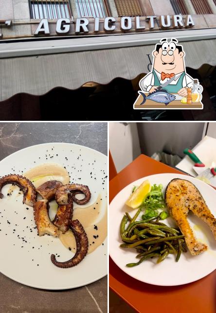Salmone grigliato al All'Agricoltura Osteria