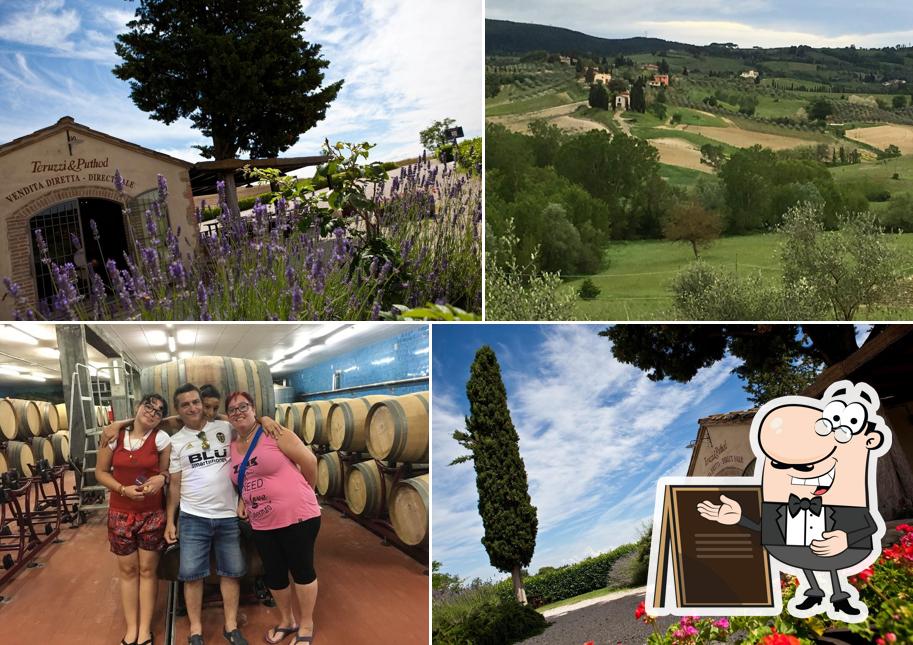 Guarda gli esterni di Teruzzi - Enoteca