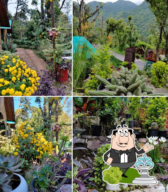 Check out how The Cactus Garden Cafe looks outside