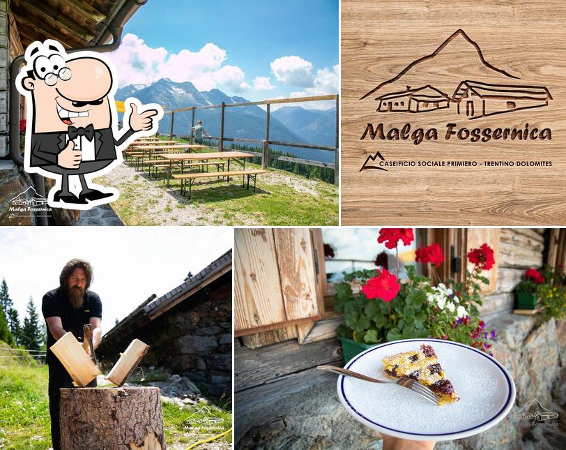 Ecco un'immagine di Agritur Malga Fossernica