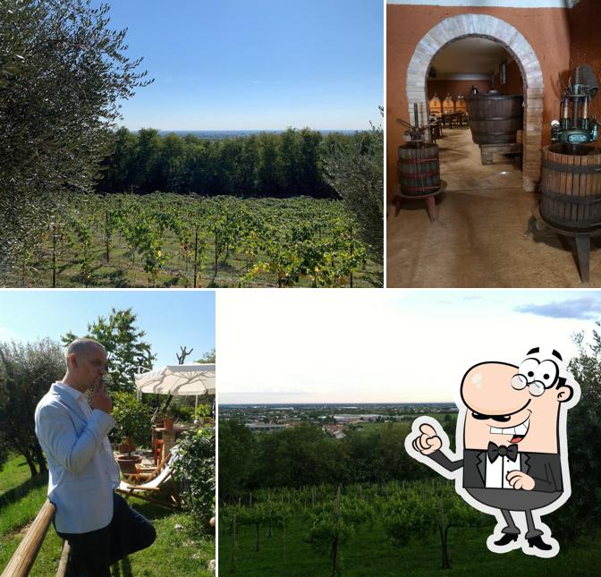 Guarda gli esterni di Agriturismo Rive Rosse
