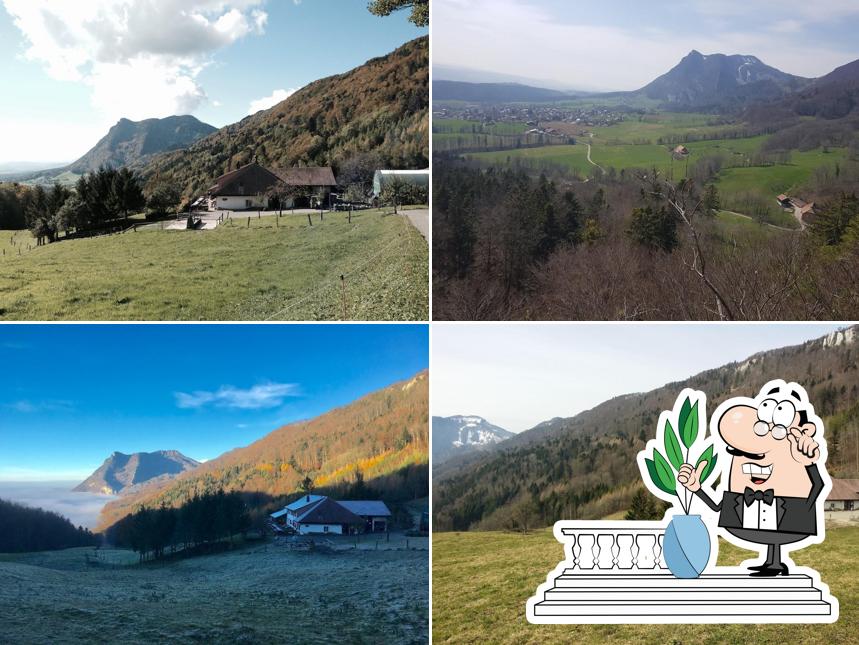 Bergwirtschaft Teuffelen