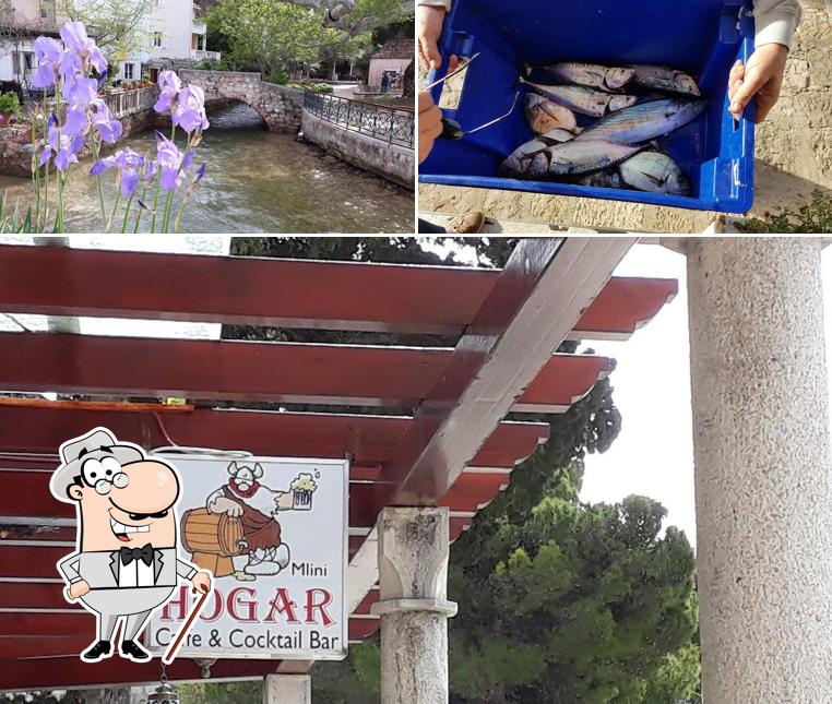 Questa è la foto che raffigura la esterno e pesce di Caffe Bar Hogar