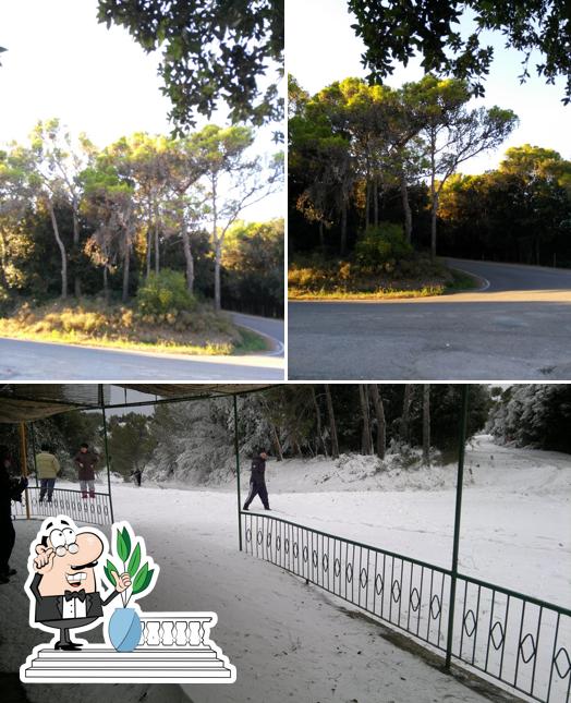 Guarda gli esterni di Baracchina Castellaccio