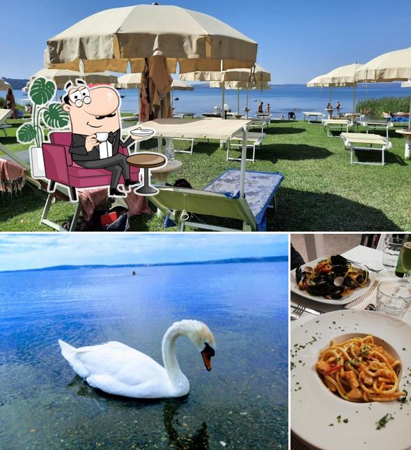 Dai un'occhiata agli interni di Riva Trevignano