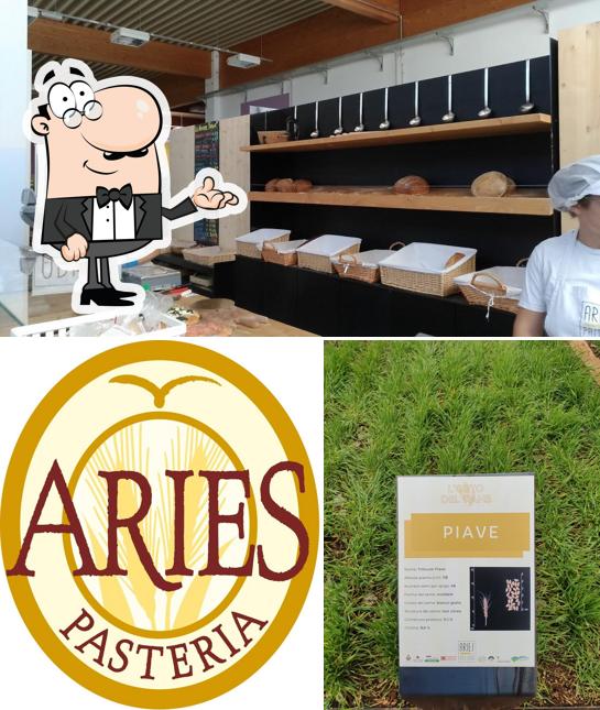 Gli interni di Aries Pasteria