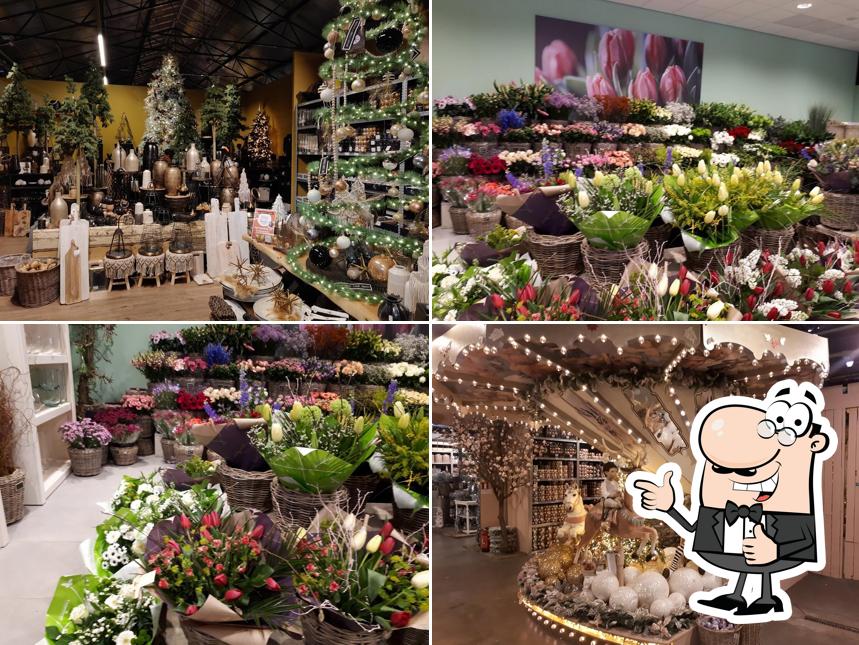 Tuincentrum Coppelmans Nuenen