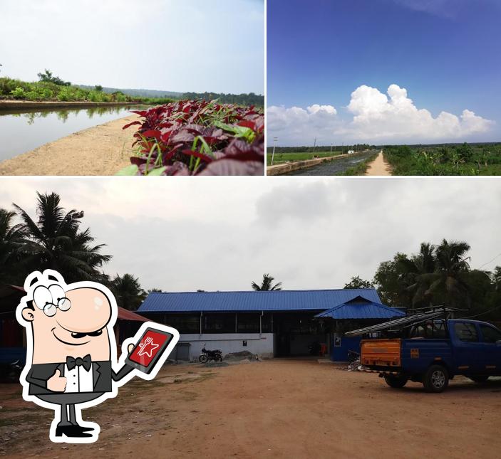 Enjoy the view at the outside area of Punchakkari Toddy Shop