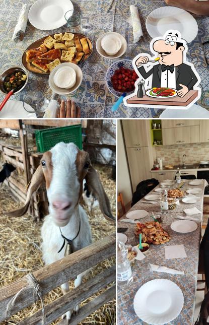 Cibo al Ricotta di capra da Rina e Gaetano