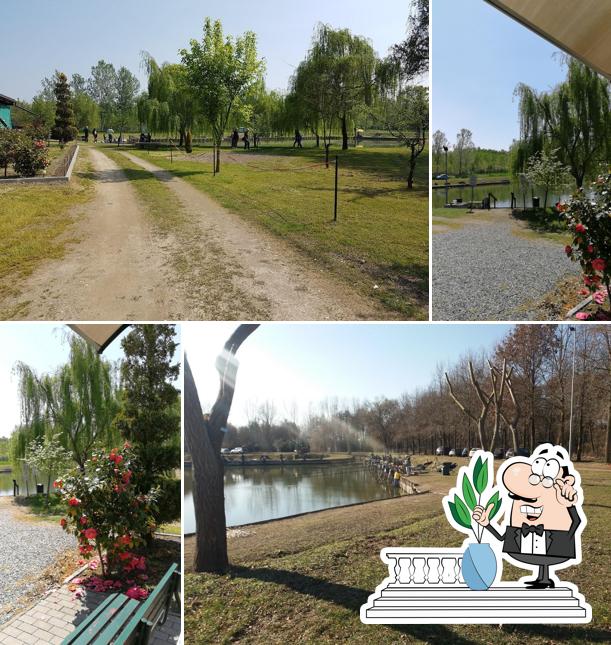 Goditi la vista dagli esterni di Laghetto Airone