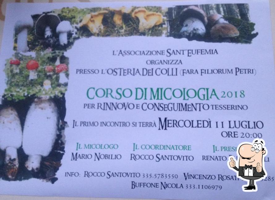 Vedi questa foto di "Osteria dei Colli di Di Prinzio Milena"