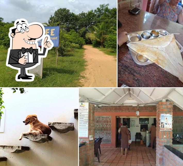 G.P. Cafe South Indian Restaurant