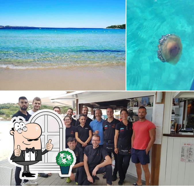 Guarda la foto che presenta la esterno e frutti di mare di Ira Beach Club Ristorante