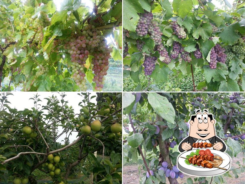 Cibo al Agriturismo Al Vecchio Mulino