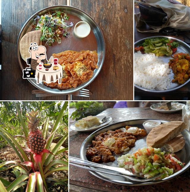 Meals at Jungle Dance