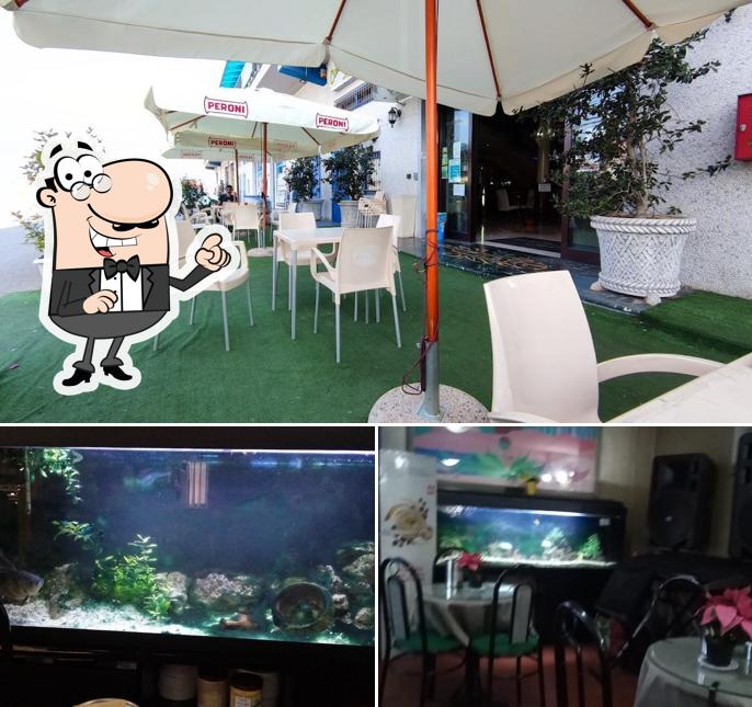 Siediti a un tavolo di Bar Pierino