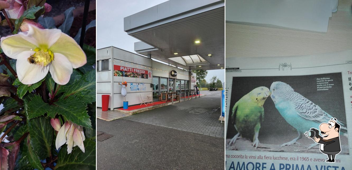 Vedi la immagine di Q8easy