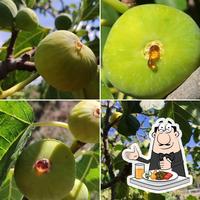 Cibo al Greed – Gelateria Naturale e Senza Glutine a Frascati