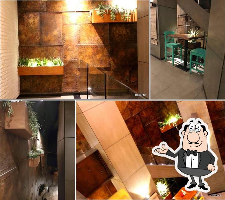 The Coconut Tree By Coconut Grove