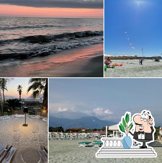 Guarda gli esterni di Bagno Pardini Beach Club e Restaurant