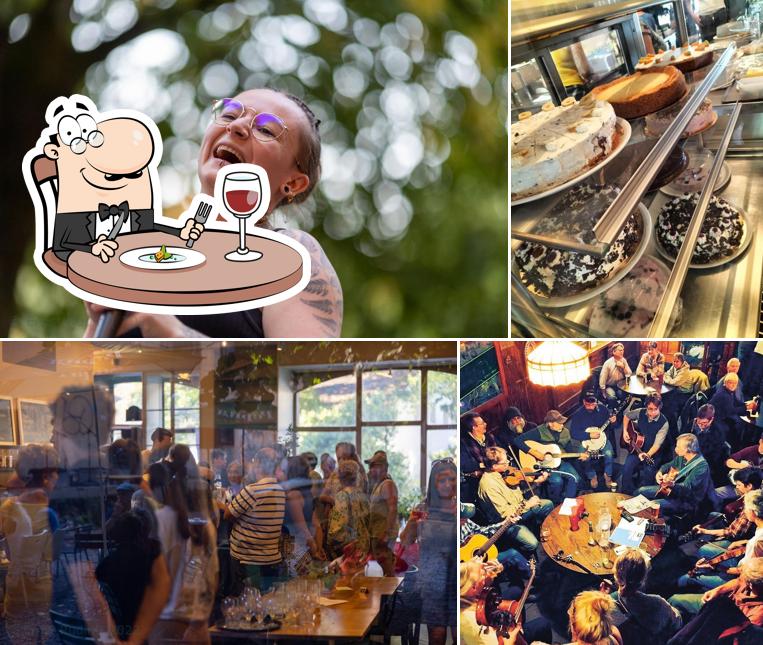 cheesmeyer - KULTUR & BEGEGNUNG