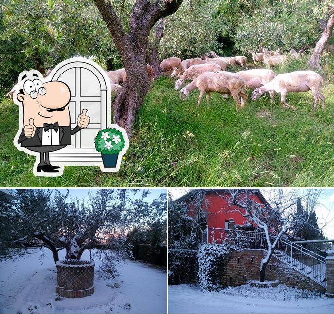 Gli esterni di Agriturismo San Rustico
