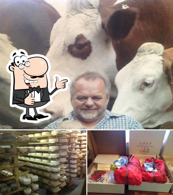 Fattoria ZOFF