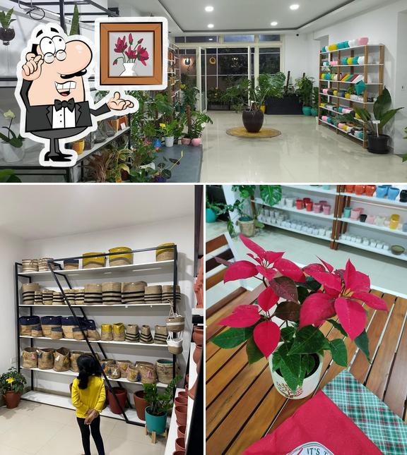 The interior of Nivys Resto Cafe & Garden Centre