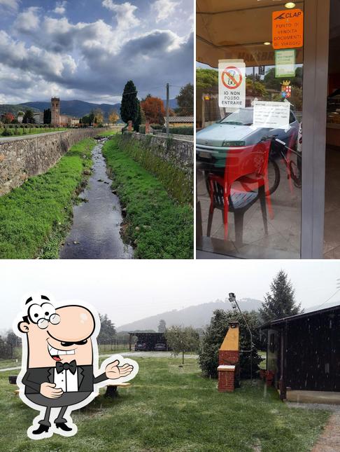 Guarda questa immagine di Hausbrandt Bar Saul