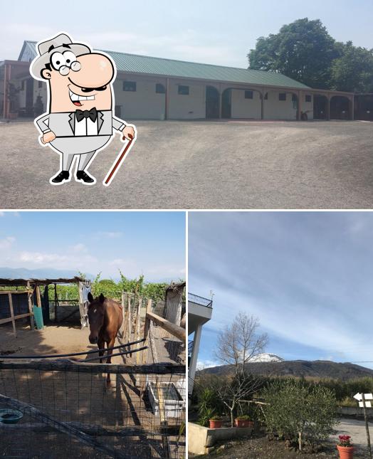 Gli esterni di Tenuta Le Lune del Vesuvio