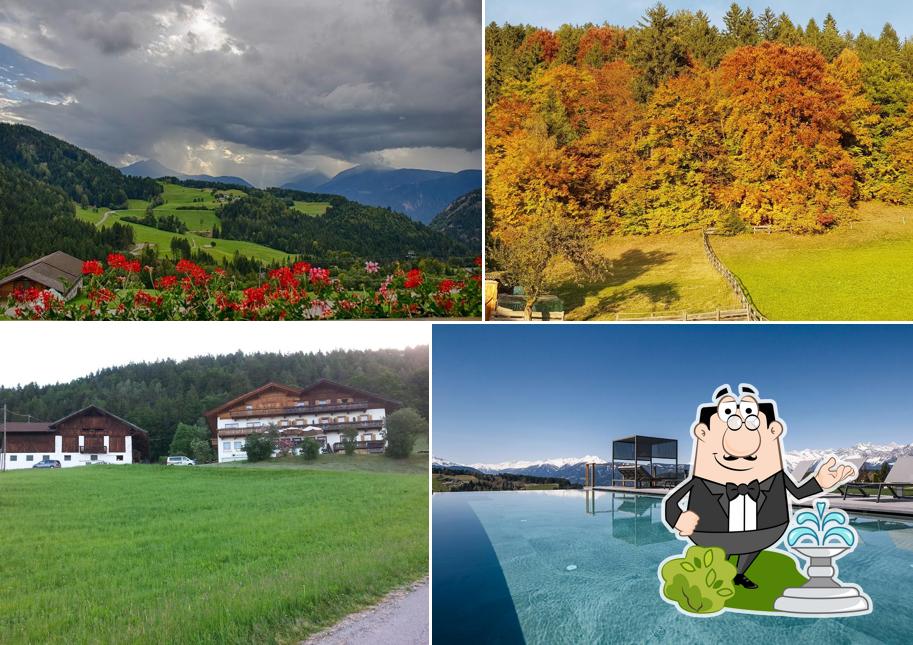 Guarda gli esterni di Hotel Avelina