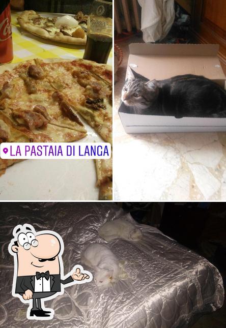 Questa è la immagine che raffigura la interni e pizza di La pastaia di Langa