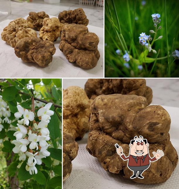 Cibo al Osteria Cascina dei Fiori