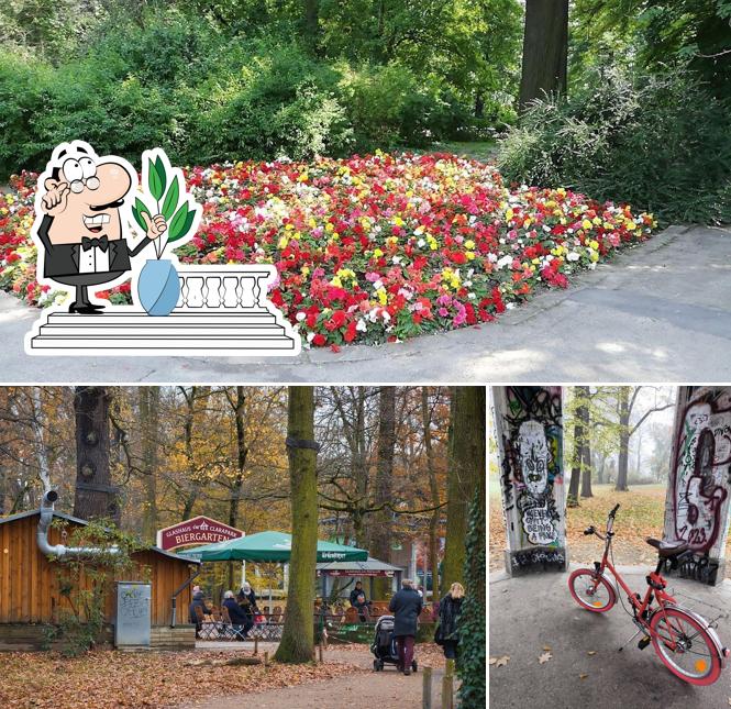 Jetez un coup d’œil à la zone extérieure de Glashaus im Clarapark