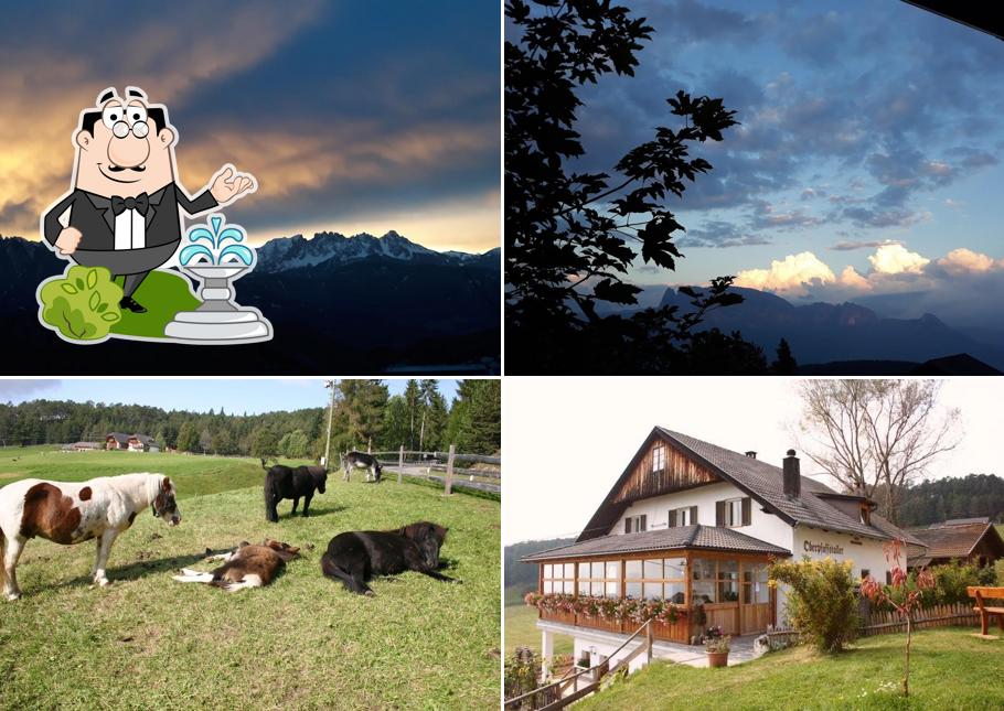 Gli esterni di Oberpfaffstallhof