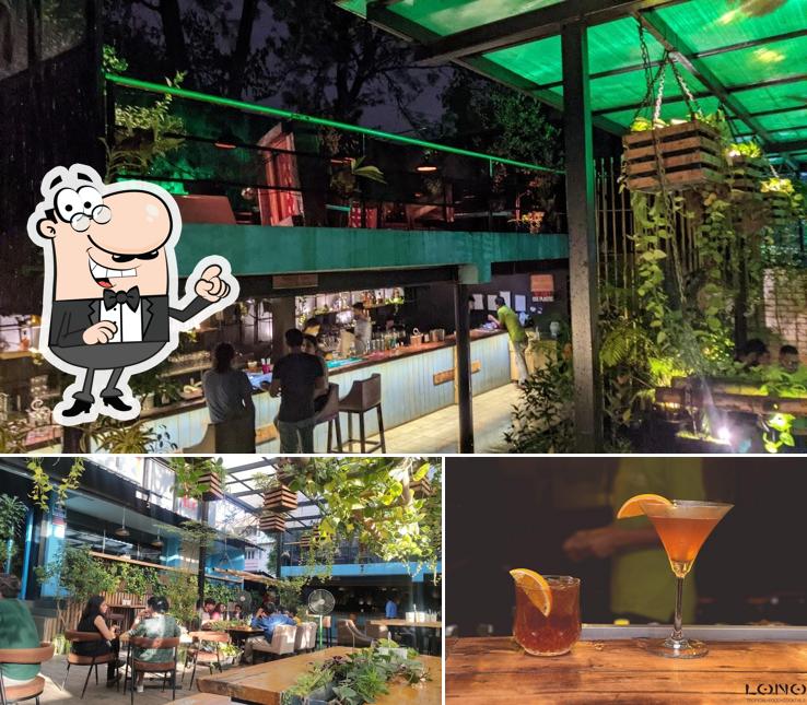 Lono Tropical Lounge is distinguished by interior and alcohol