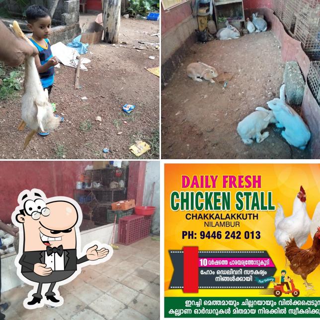 Daily Fresh Chicken chakkalakuth