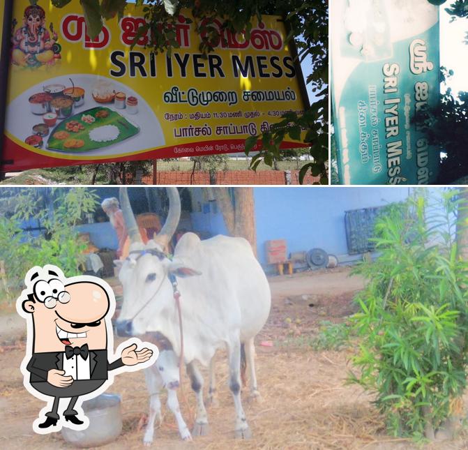 See the picture of Iyer Mess, Pure Veg Lunch