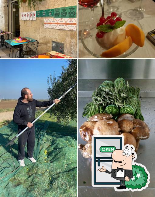Guarda gli esterni di Al Boccon Divino