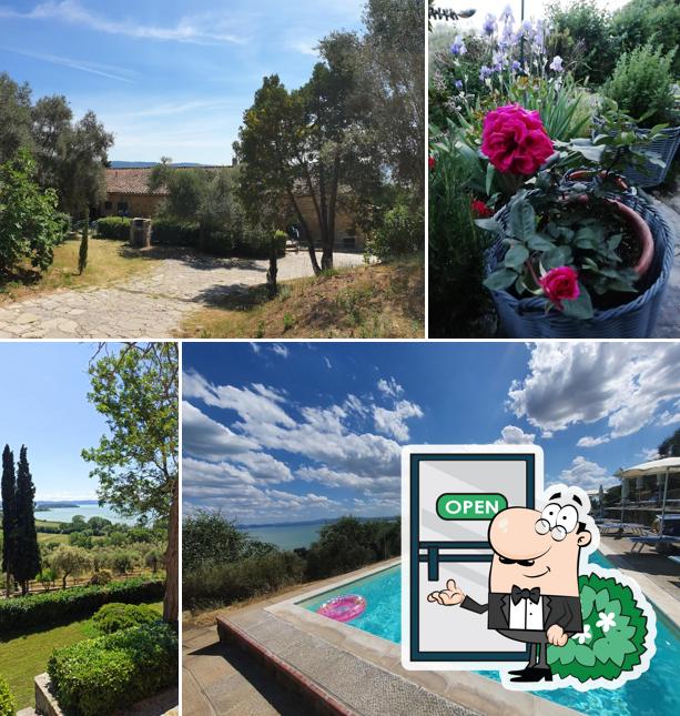 Agriturismo Dogana, Lucia's Italia Estate