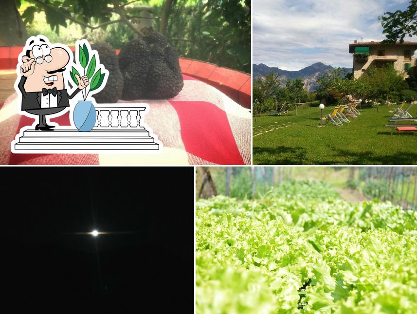Gli esterni di Agriturismo San Michel Ca' del Tocio'