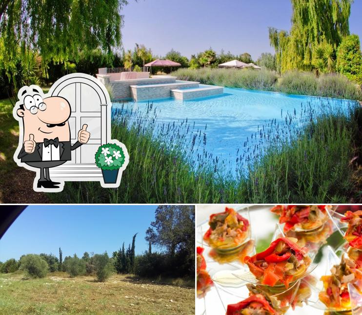 Albergo Le Muse si caratterizza per la esterno e frutti di mare
