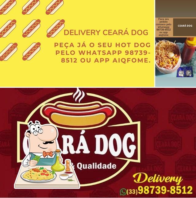 Ceará Dog