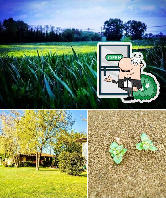 Gli esterni di Agriturismo L'Orto della Carmen