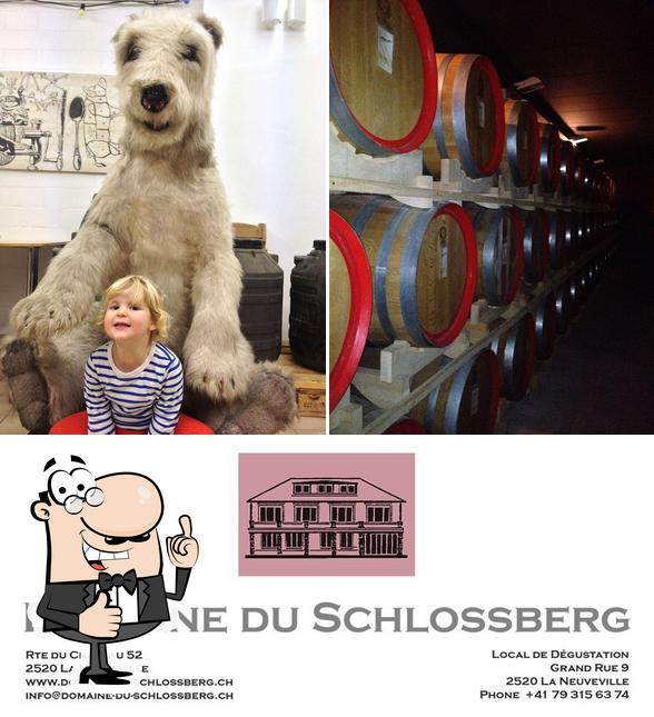 Guarda questa immagine di Caveau du Schlossberg