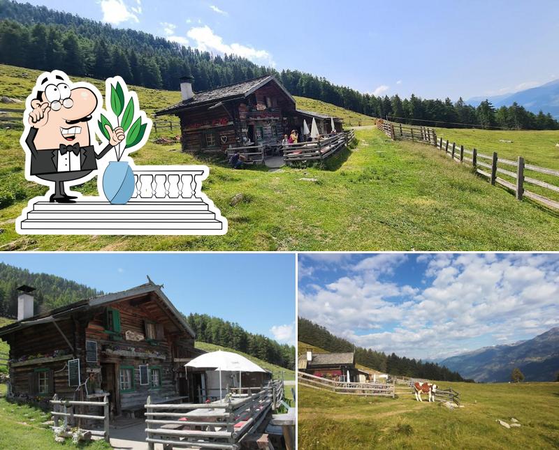 Puoi goderti l'aria fresca dal dehors di Freiberger Mahd Alm