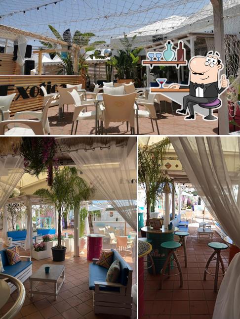Dai un'occhiata agli interni di Exotica Beach Club
