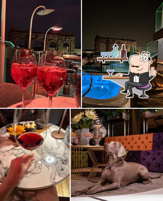 Dai un'occhiata agli interni di Terrazza Arena Sky Lounge Bar & Restaurant