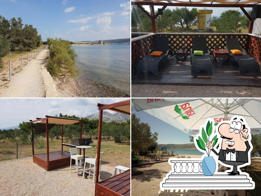 FENIX Beach & Summer Bar