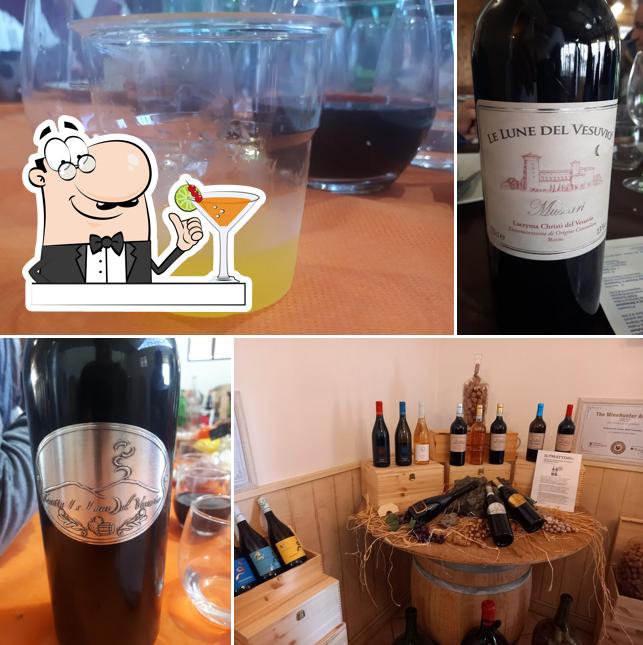 Tenuta Le Lune del Vesuvio